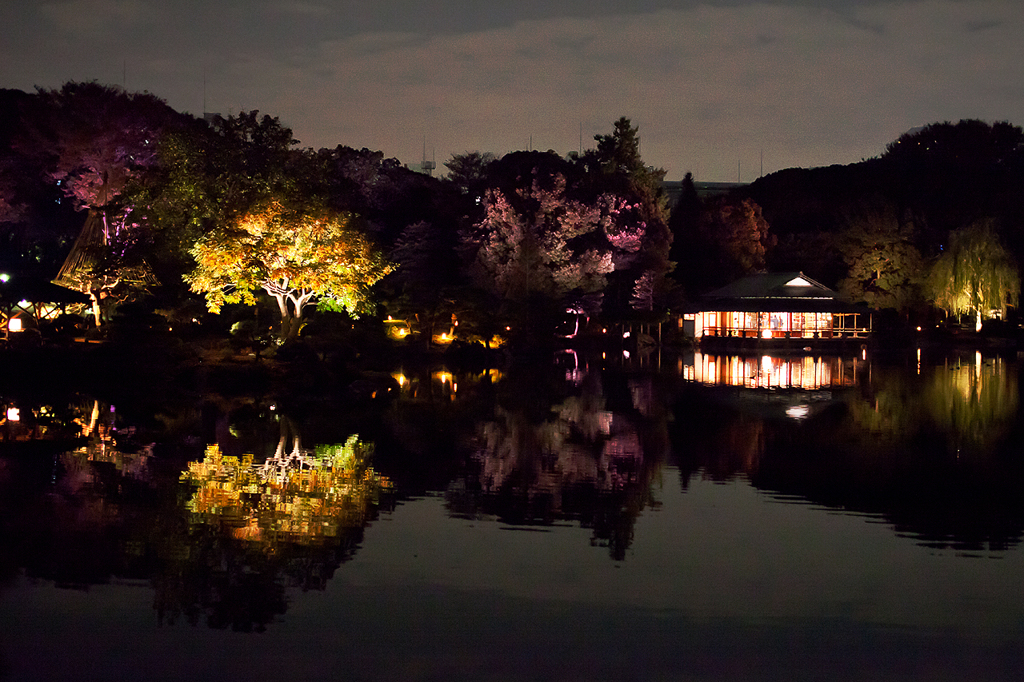 浮き上がる日本庭園