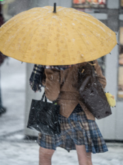 雪の日の秋葉原９