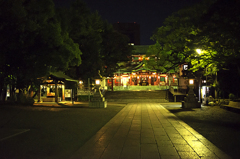 富岡八幡宮 夜の輝き
