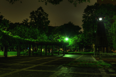 夜の清澄公園３