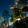 Night of Tokyo Midtown