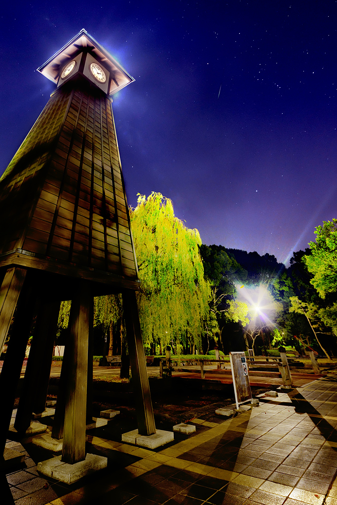 星降る夜のオリオン座流星群