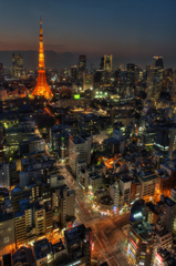 東京タワーと輝く街の道