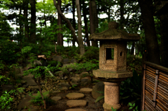 深く…（国分寺その４）