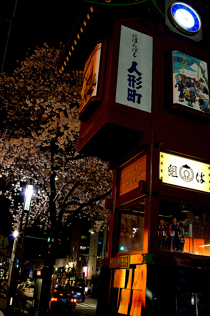 人形町の夜桜