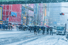 ある雪の日の秋葉原(中央通り横断歩道)