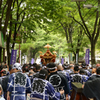 木漏れ日の御神輿(富岡八幡宮例大祭2)