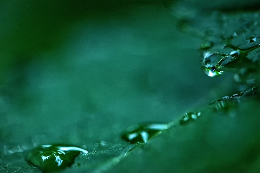 雨水の通り道