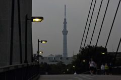 夜になり始めた木場公園