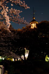 桜と九段坂上常燈明台