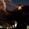 桜と九段坂上常燈明台
