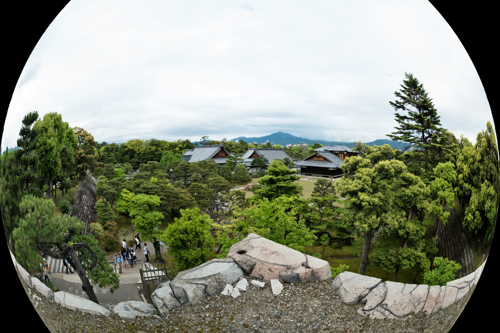 徳川家が見た風景