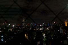 東京の街で青く輝く東京タワー