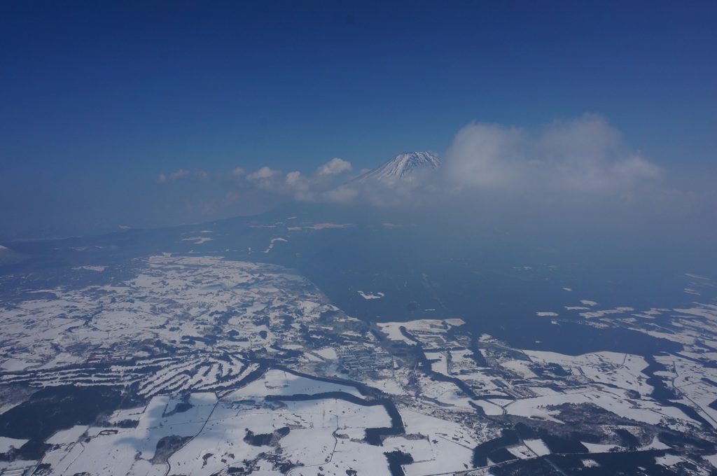 真っ白朝霧
