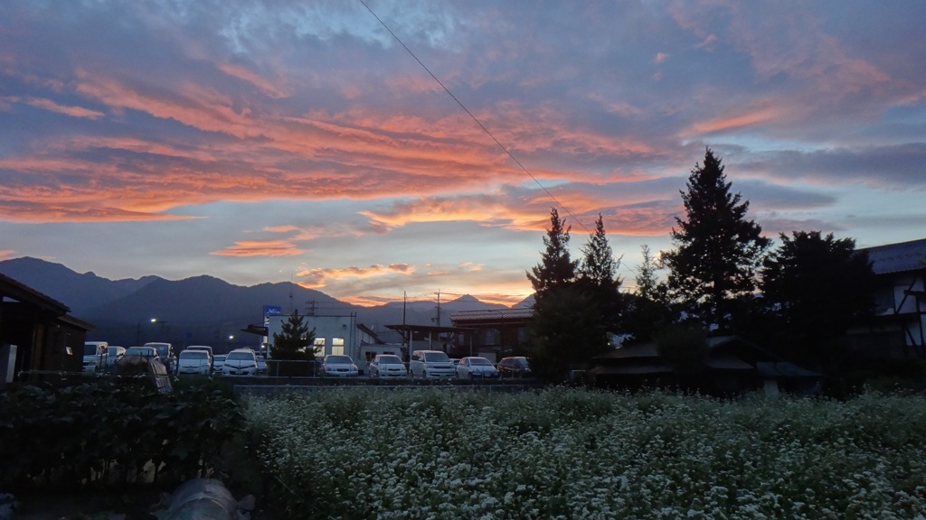 白馬へ向かう途中　夕日