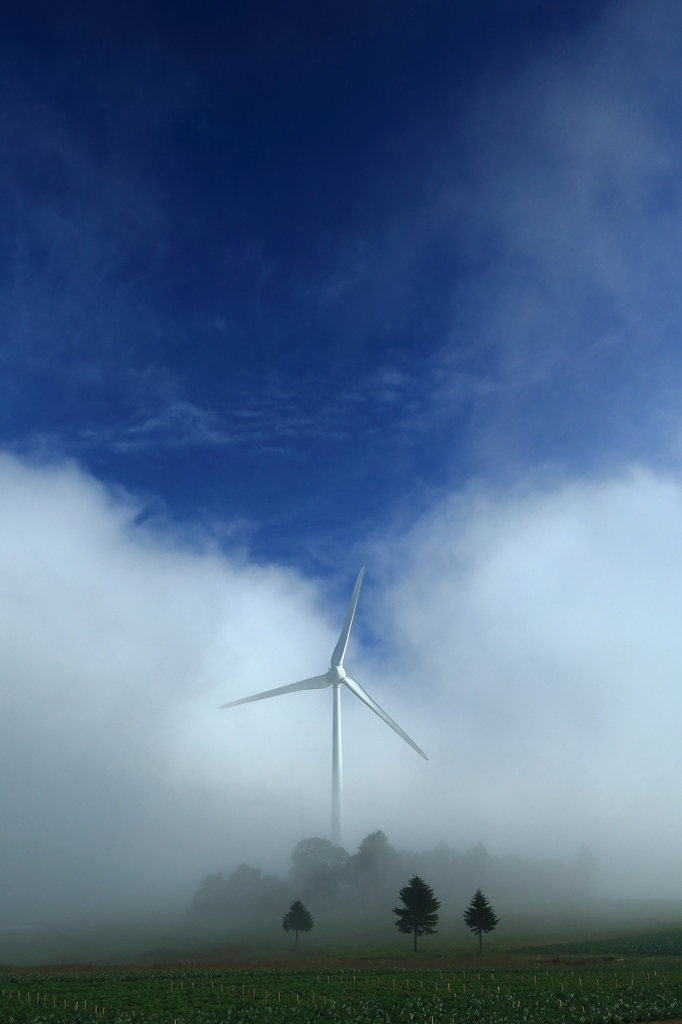 Windmill of the morning