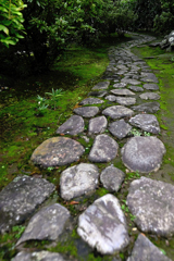 庭園