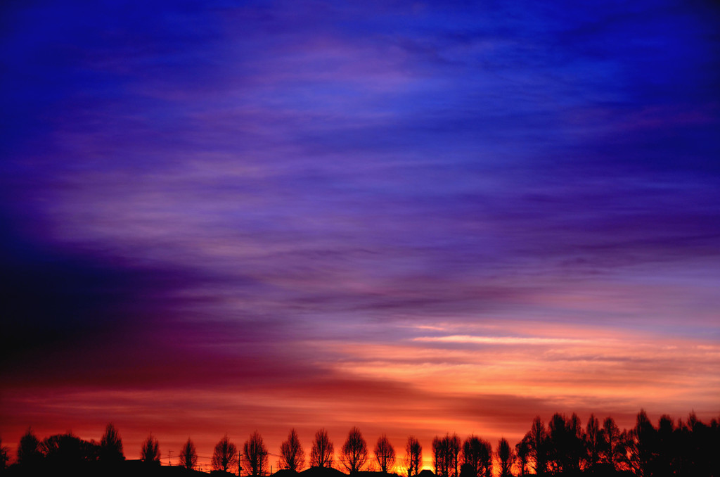 Twilight