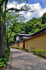 散歩道