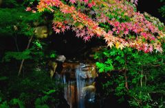 紅葉の流れ