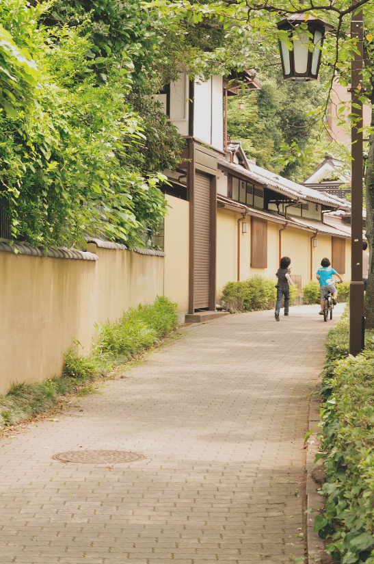 散歩道