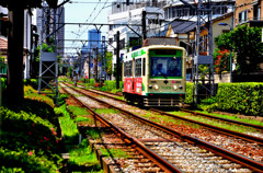 Toden