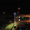 R291