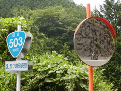 R503