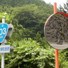 R503