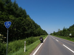 R236
