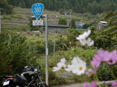 R380