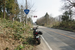 R294
