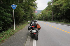 R300