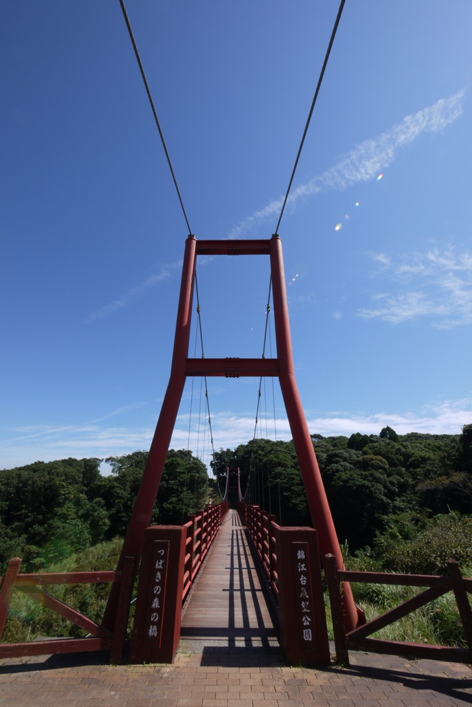 鹿児島カレーツー