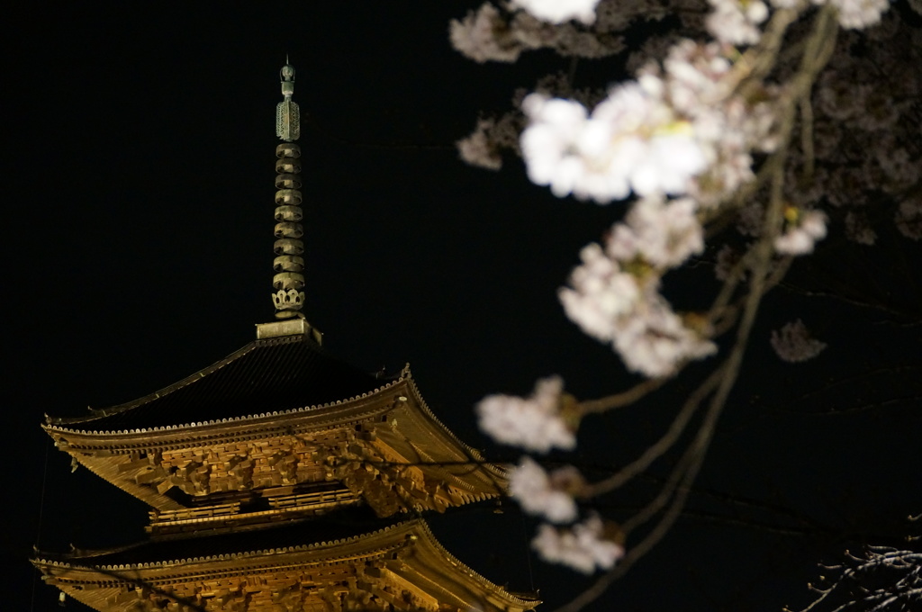 東寺 五重塔