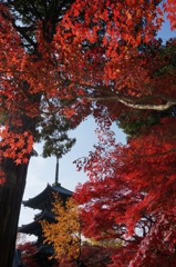 三重塔と紅葉