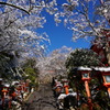 鞍馬寺