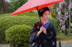 舞妓さん