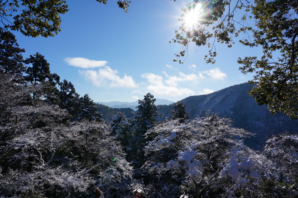 雪景色