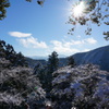 雪景色