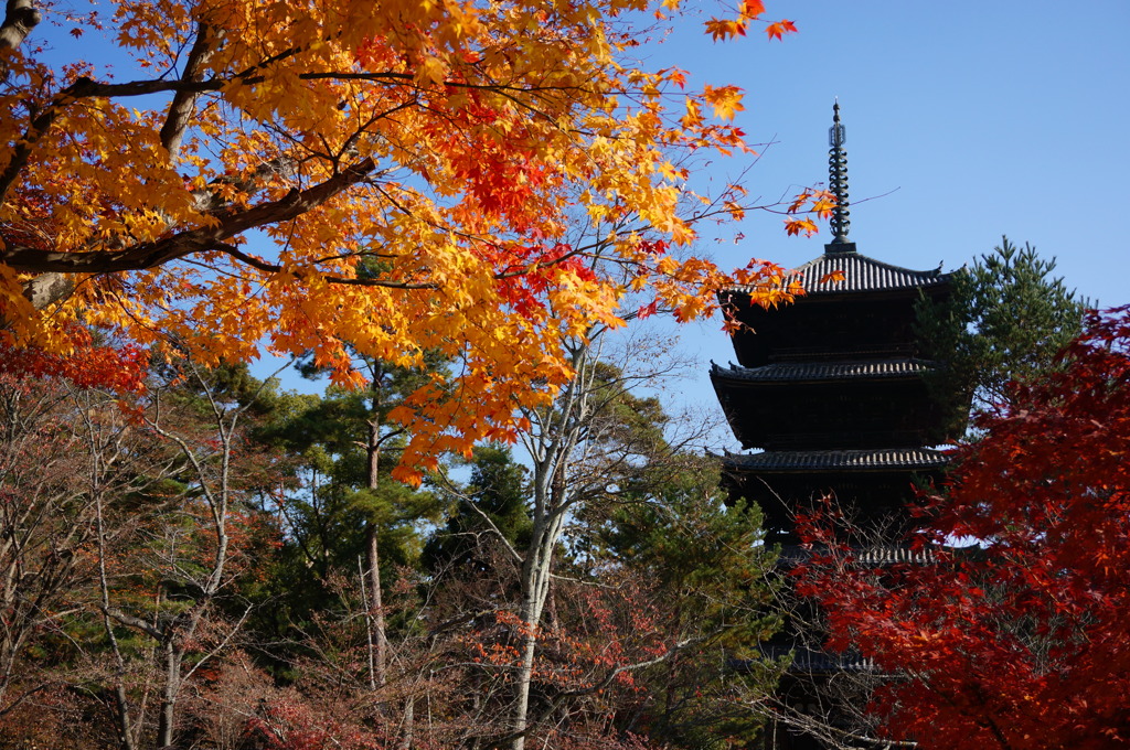 五重塔と紅葉