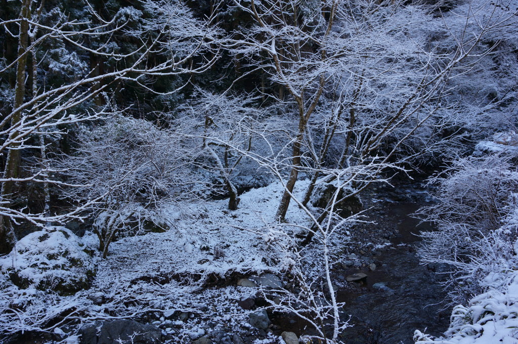 川と雪