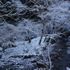 川と雪