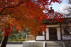 紅葉と納骨堂