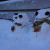 雪だるま