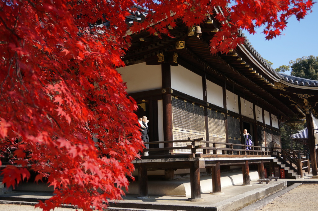本堂と紅葉