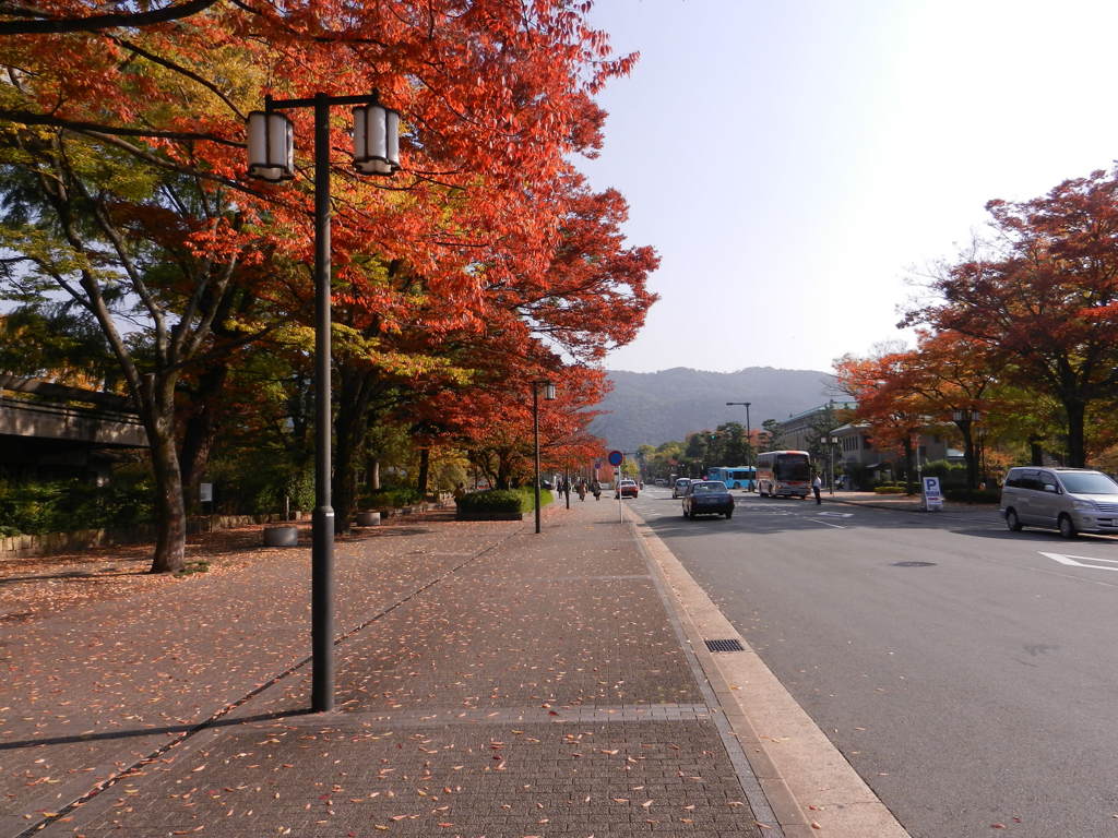 平安神宮周辺