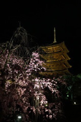 東寺 五重塔