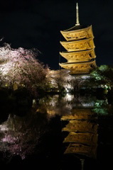 東寺 五重塔