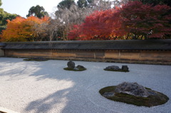 紅葉と石庭